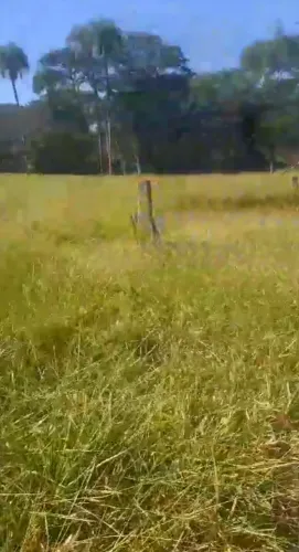 Vende-se uma excelente fazenda de 40 alqueires