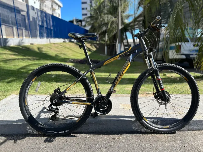 Bike Aro 29 Endorphine
