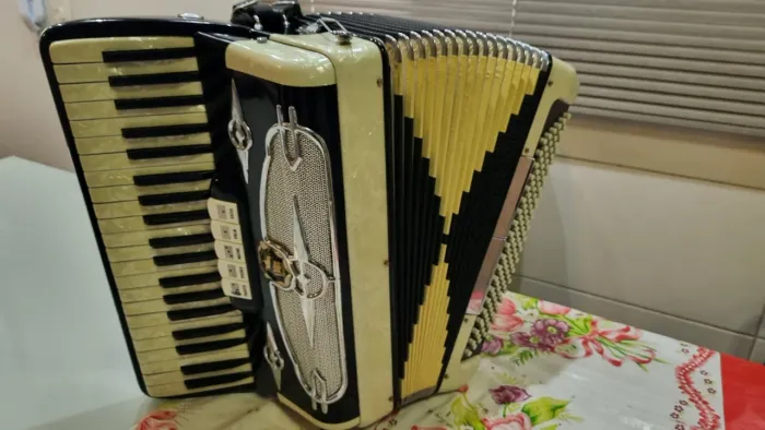 Acordeon castleclioni 3 vós oitavada 120 bx