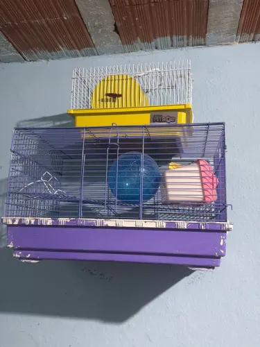 Doação gaiola para ramster