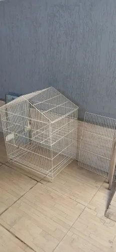 Gaiola para pássaros