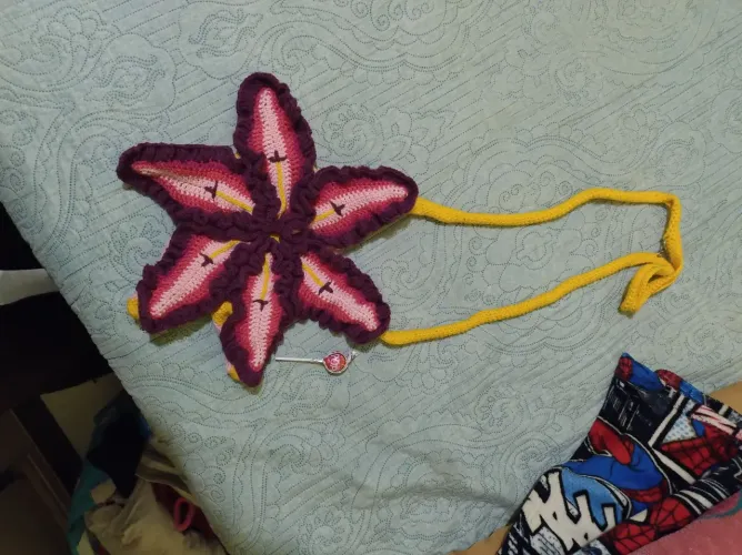 Bolsa de crochê