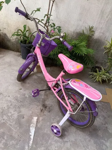 Bicicleta Love Rosa Aro 16