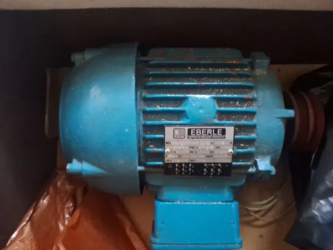 Motor elétrico de indução trifásico 2CV EBERLE 