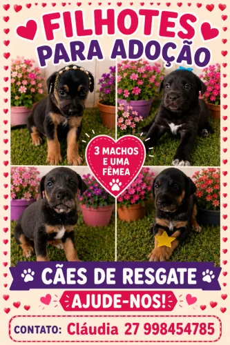 Cachorro filhote