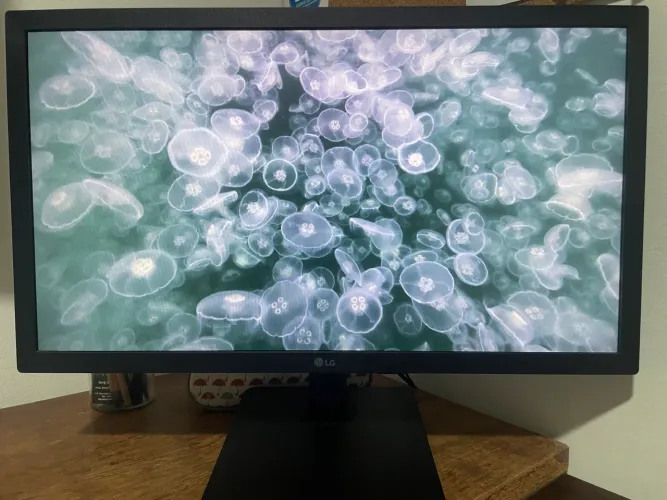 Monitor LG 21