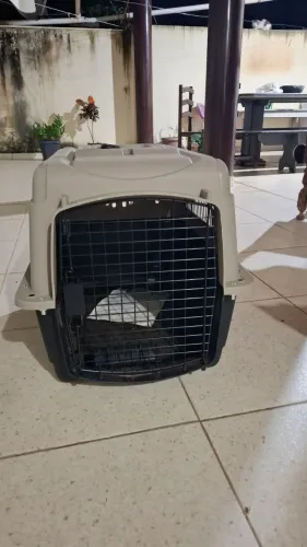 ? Caixa de Transporte para Cachorro - Seminova