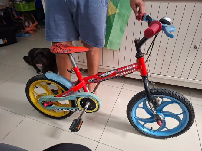 Bicicleta infantil
