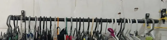Arara