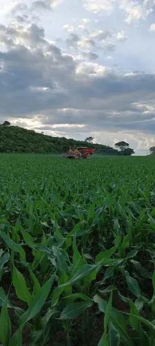 Fazenda a venda em São Felix do Xingu - Pará