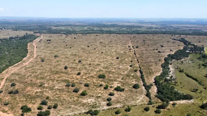 Fazenda arrendamento de 2 mil até 15 mil hect a 80km de Guiratinga MT. R$: combinar