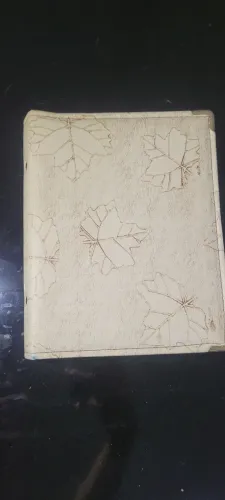 Pasta expositora N°3.