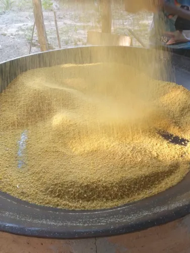 Sítio no Rio Preto da Eva km 116 Am 010