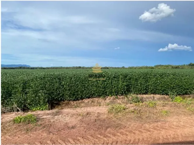 Fazenda, Centro, Jangada - R$ 100 mi, Cod: 137
