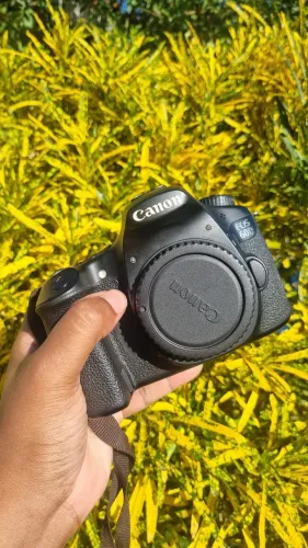 Canon 60D
