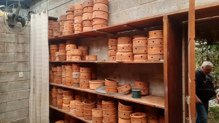 Vasos de flores