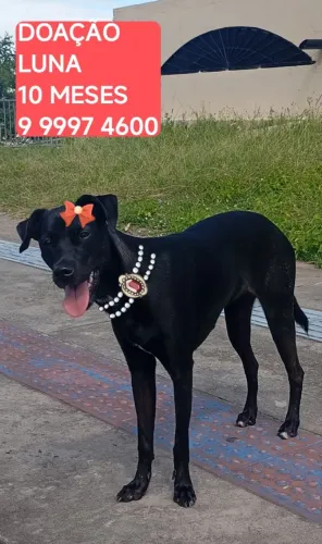 LUNA BRINCALHONA