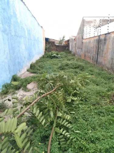 TERRENO PRÓXIMO A RUA PÔRTO SEGURO