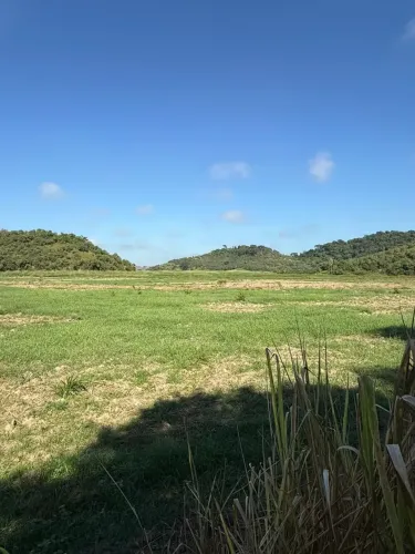Fazenda de 59 Alqueires