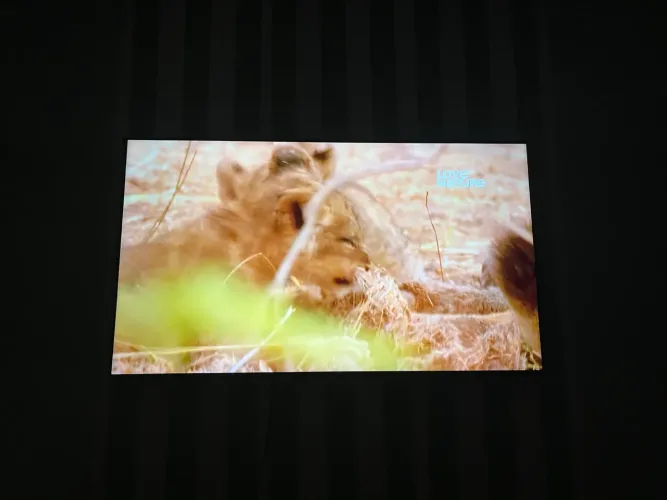 Vendo TV Smart Samsung 55 polegadas, tv em ótimo estado, sem nenhum arranhão ou riscado.