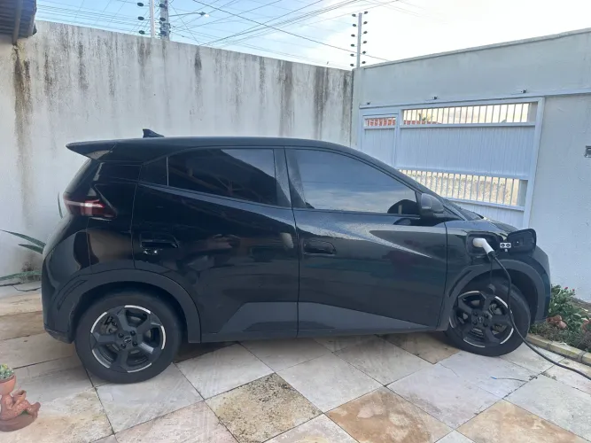 BYD Dolphin Mini (Elétrico) 2024
