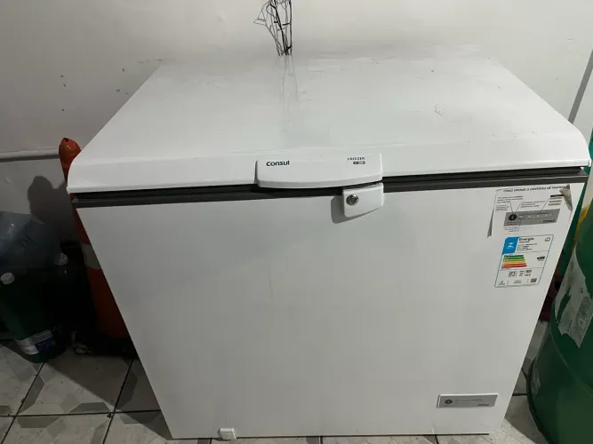 Freezer horizontal 309L