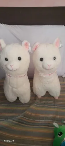Pelucías