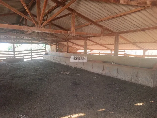 Encantador sítio à venda em Igarapava - Confira!