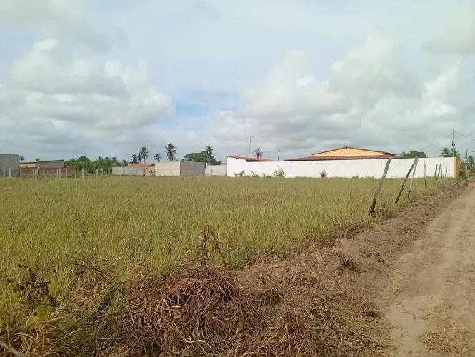 4 terrenos um ao lado do outro