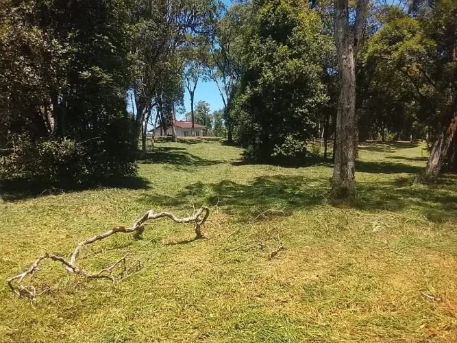 Fazenda/Sítio/Chácara para venda com 12 metros quadrados