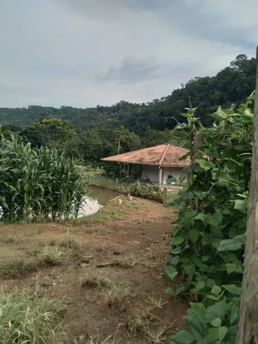 VENDE-SE SÍTIO EM ANITÁPOLIS - SC ?