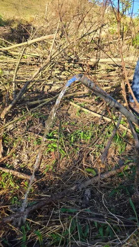 Terreno de 2700 metros na cidade de Cunha sp no bairro da breja uva há 15minutos da cidade
