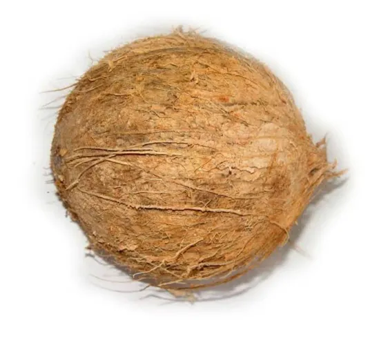 Vendo coco seco do grande 