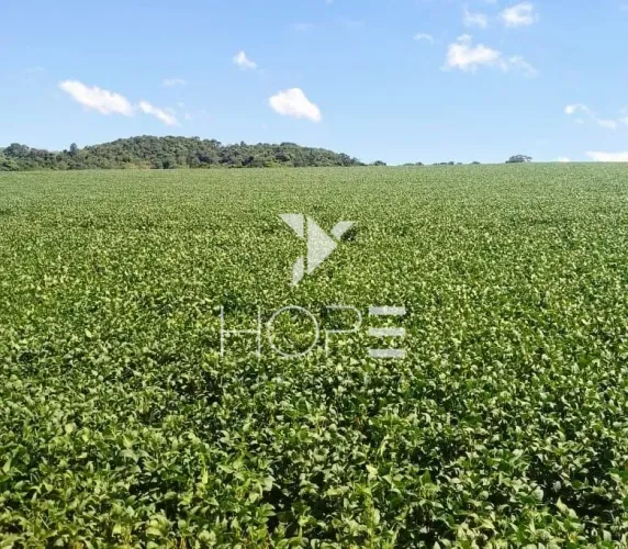 Fazenda à venda com 213 alqueires - 160 alqueires em plantio - Tomazina PR