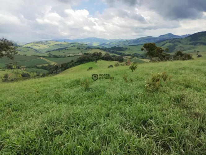 Fazenda com 10 alqueires paulistas no sul das Minas Gerais