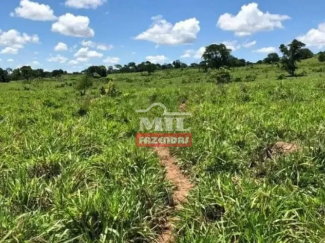 Fazenda 820 Alqueires (3.949 hectares) Bom Jardim de Goiás - GO