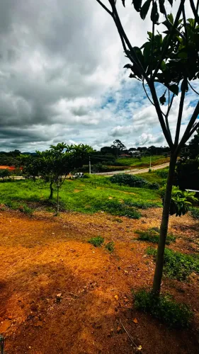 Lote à Venda no Setor Monte Sinai em Trindade-GO codigo: 355774