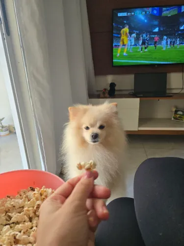 Procurando uma namorada