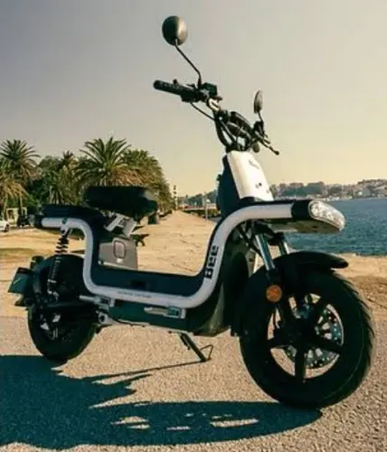 Scooter Elétrica Bee U1