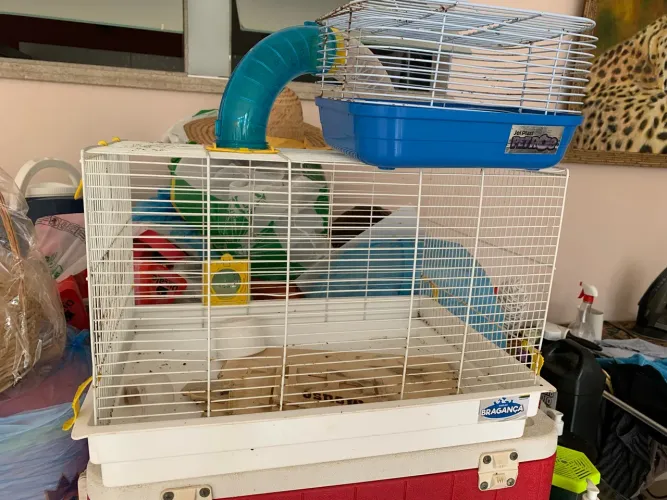 Gaiola para hamister