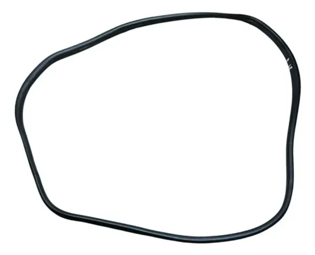 Borracha Vedação Porta Dianteira Esquerda Spacefox 12 A 14