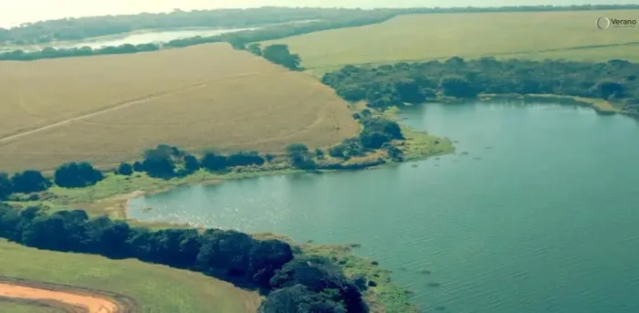 Fazenda na beira da represa, com 300 alqueires, plantando soja e milho, com aptidão para s