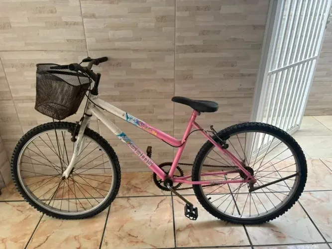 Bicicleta com cestinha