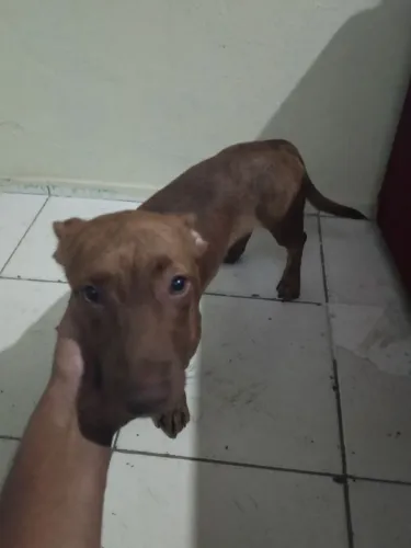 Doação