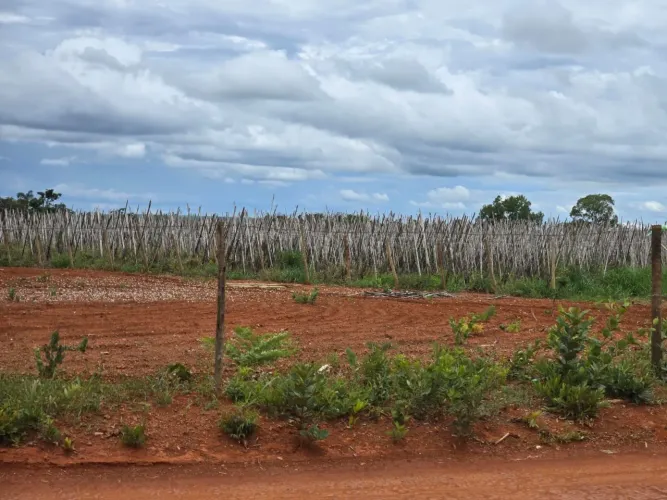CHÁCARA P/ VENDA NA NOVA PETROPÓLIS COM 14.500 M2