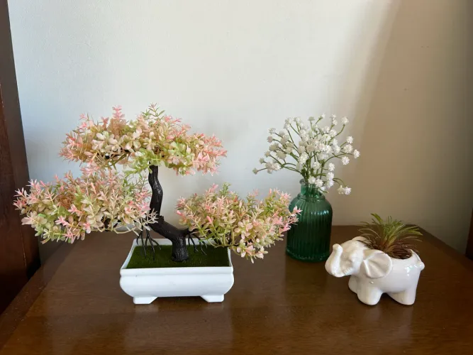 Lote decoração