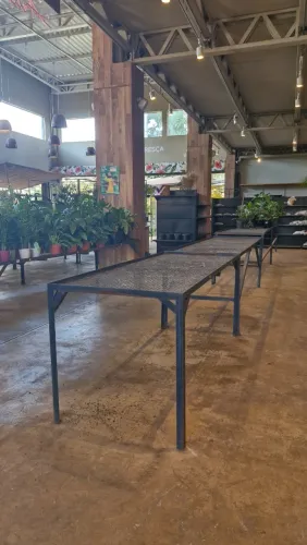 Expositor ideal para plantas - 120x200x90