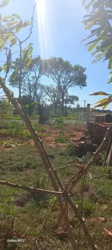 Chácara para Venda em Santo Expedito, CHACARA SANTO EXPEDITO