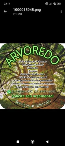 Paisagismo e podas de árvores