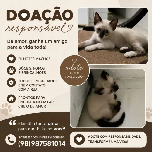 ADOÇÃO RESPONSÁVEL 